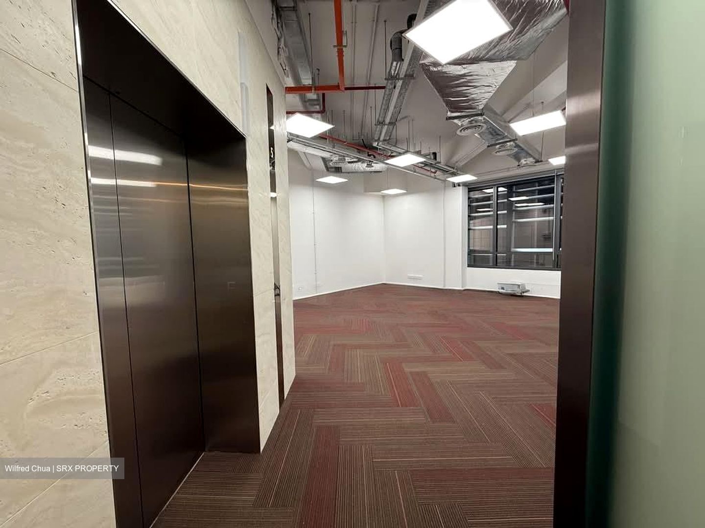 PLUS (D1), Office #554082591